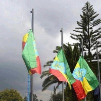 Profile Picture of Robel Hailu (@robel-hailu-6) on Quora