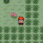 Profile Picture of Erik (@erik_pokemon_roms) on Instagram