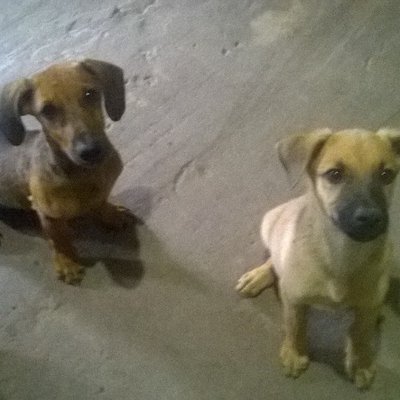 Profile Picture of Nancy Miño (@nancymio6) on Twitter