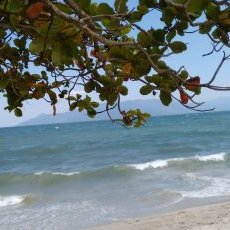 Profile Picture of Sonia Freire (@SoniaFreire53) on Twitter