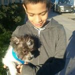 Profile Picture of Joe (@joe_macias90) on Instagram