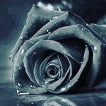 Profile Picture of Richard Kenneth (@richardkenneth7890) on Instagram