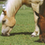 Profile Picture of Nicole Roberts (@nrob671@rocketmail.com) on Flickr