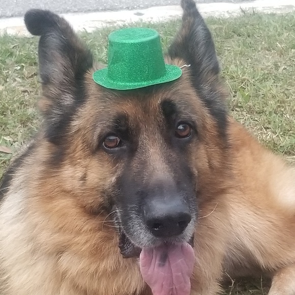 Profile Picture of Christopher Cella (@chriscella) on Poshmark