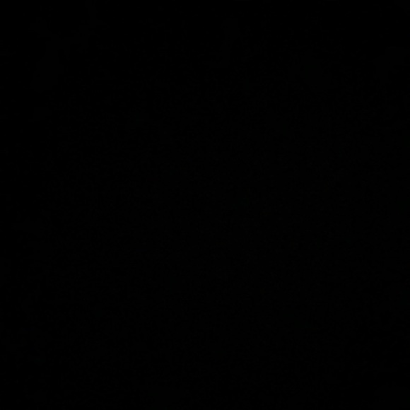 Profile Picture of Tameisha Lasane (@tlasane20) on Poshmark