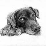 Profile Picture of Cory Hayes (@hayesartwork) on Instagram