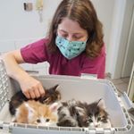 Pamela Müller - Instagram Profile Picture of Pamela Müller (@pamela.mueller77) on Instagram