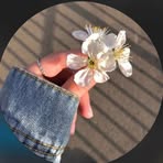 Profile Picture of Jana Gad (@Jana-Gad) on Facebook