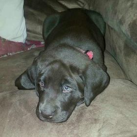 Profile Picture of Joshua Sandvik (@joshuasandvik) on Pinterest