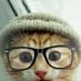 Profile Picture of Benjamin Tapia Blau (@@batukasbal) on Twitter