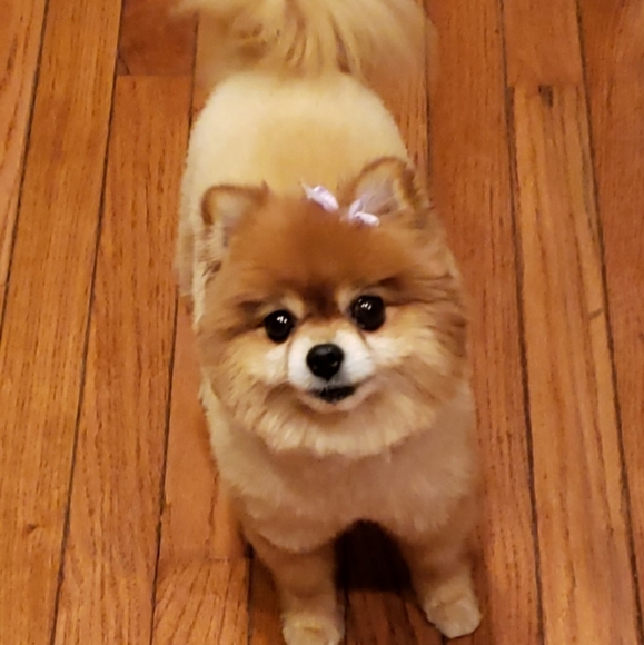 Profile Picture of Nicki Calvert (@nlcolins) on Poshmark