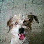Profile Picture of Daviiiila (@david_19_trumpet) on Instagram