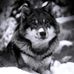 Profile Picture of Keith Strayer (@keith.strayer.5) on Facebook