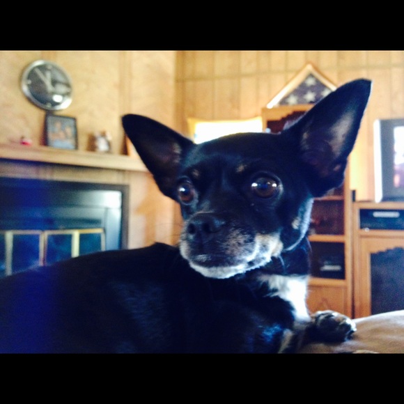 Kim Penrose - Poshmark Profile Picture of Kim Penrose (@kjpenrose) on Poshmark