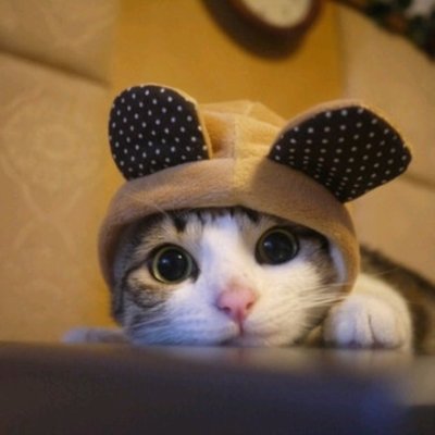 Profile Picture of Heather Schuster (@Schuster2688) on Twitter