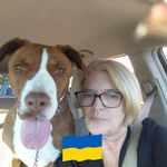 Profile Picture of Ann Bastarache (@tibob34839) on Instagram