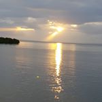 Profile Picture of Michael Voskos (@vforvos) on Instagram