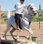 Profile Picture of Giuseppe Arabian's Ranch Ragolia (@arabians.valledelbelice) on Facebook