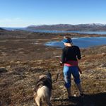 K R I S T I N  N Ø D T V E D T - Instagram Profile Picture of K R I S T I N  N Ø D T V E D T (@nodtvedt) on Instagram