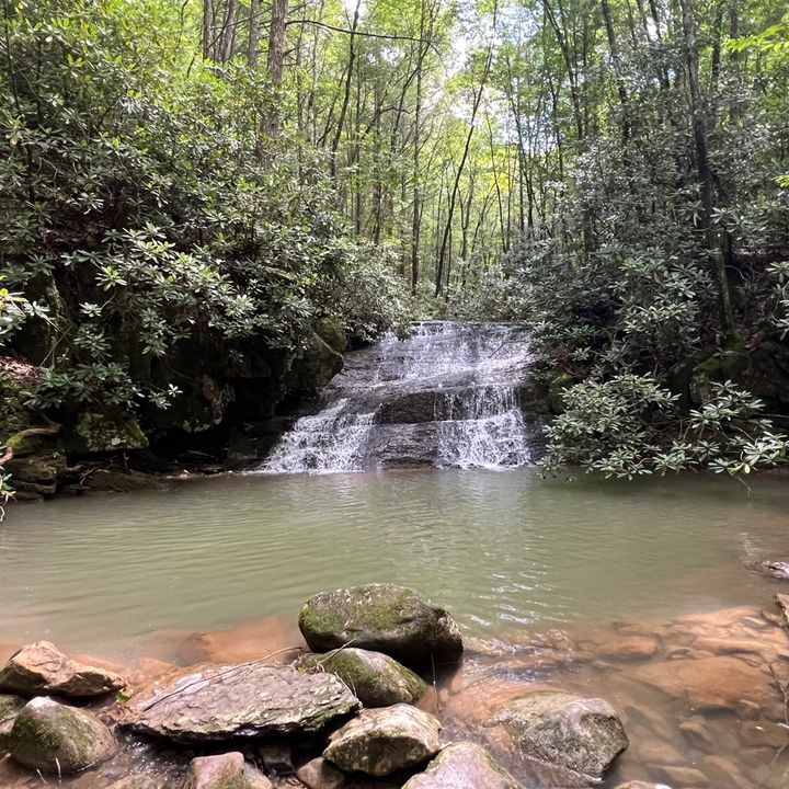 Profile Picture of leonardhuckaby (@leonardhuckaby) on Tiktok