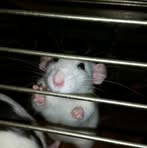 Profile Picture of Jacky Schulze (@jacky.schulze.7524) on Facebook