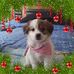 Profile Picture of Eduardo Sepulveda Dameri (@eduardosepulveda.dameri) on Facebook