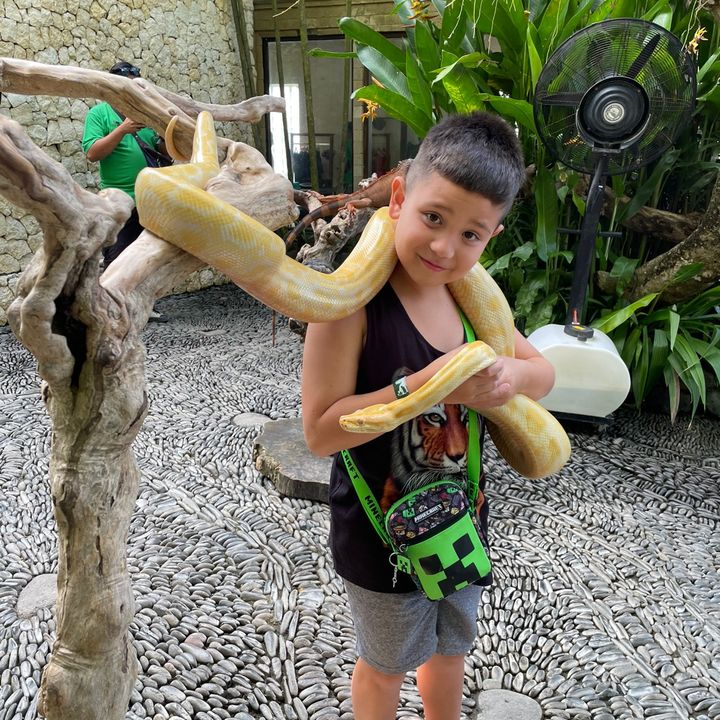 Profile Picture of adammcdino (@adammcdino) on Tiktok