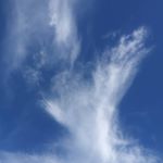 Profile Picture of Catherine  Haley (@cloudsofjoy_54) on Instagram