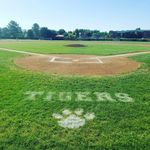 Profile Picture of Lakewood Tiger Baseball (@lhstigerball) on Instagram