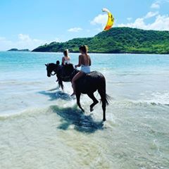 Profile Picture of Elyse McAllister (@@elysemcallister) on Tiktok