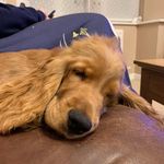 Profile Picture of Andy Croucher (@fizzyfish28) on Instagram