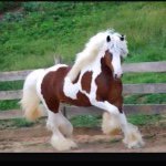 Profile Picture of Danielle Rae Eisemann (@danielleraeeisemann) on Instagram