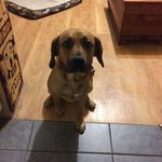 Kevin Pendry - Instagram Profile Picture of Kevin Pendry (@pendrykevin) on Instagram