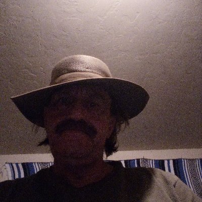 Profile Picture of Alex L Shackelford (@alexlshackelfo1) on Twitter