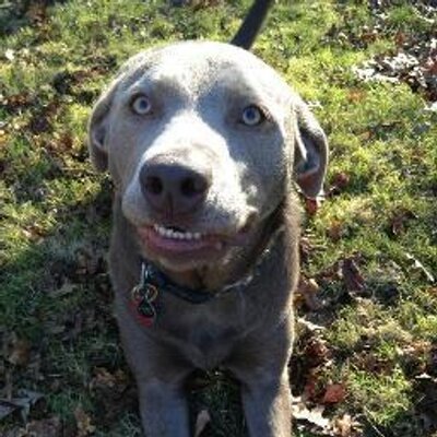 Profile Picture of Jen Laue (@jlaue15) on Twitter