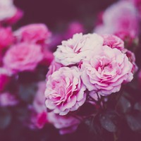 Profile Picture of Matthew Hollis (@matthew-hollis-13) on Quora