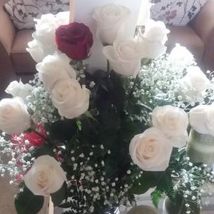 Profile Picture of Destiny Mitchell (@Destiny85826014) on Twitter