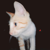 Profile Picture of Alexa Leo Lede (@zyalexaleolede) on Youtube