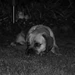 Profile Picture of Sophie.L.White (@Sophie.L.White) on Flickr