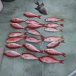 Profile Picture of Matthew Rothe (@matthew.rothe) on Instagram