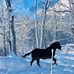Profile Picture of Larry Bruening (@larry.bruening.54) on Facebook