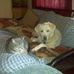 Profile Picture of SallyAnn Goodman (@sallyann.goodman.7) on Facebook