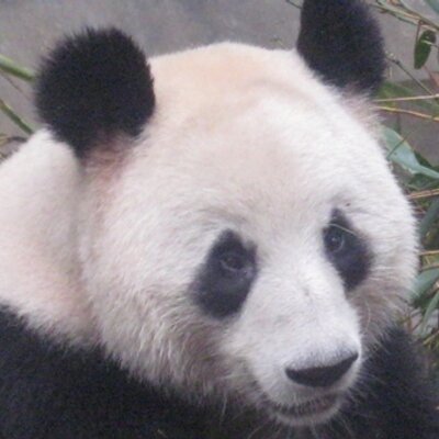 Profile Picture of Mike Fabricius (@mike_thejourney) on Twitter
