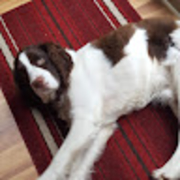 Profile Picture of Edward Mcgrath (@edwardmcgrath10) on Poshmark