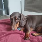 Profile Picture of Debbie Dippenaar Swart (@debbie.dippenaar.swart) on Facebook