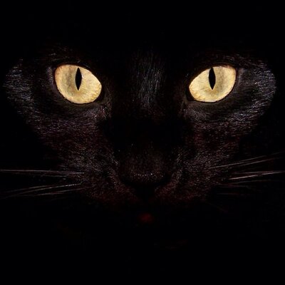 Profile Picture of Manuel Jaramillo (@losquijotes) on Twitter