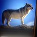 Profile Picture of Bobby Wolf (@bobby.wolf.9250) on Facebook
