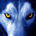 Profile Picture of Bobby Wolf (@bobby.wolf.3726) on Facebook