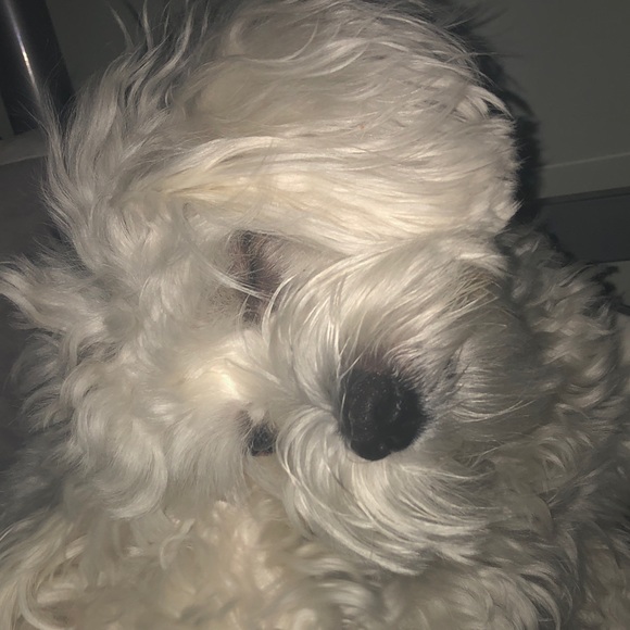 Profile Picture of Kira Theodorou (@kira0217) on Poshmark