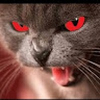 Profile Picture of Robert Barthel (@robert-barthel-4) on Quora